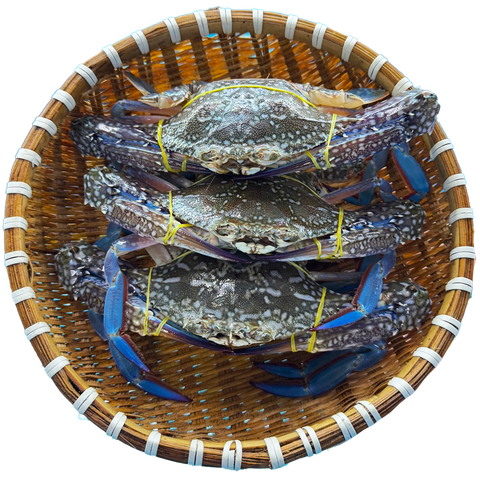 Ghẹ Xanh Sống 5-7 Con/kg